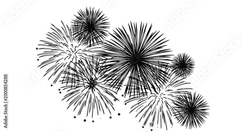 A black and white image of fireworks exploding in the night sky