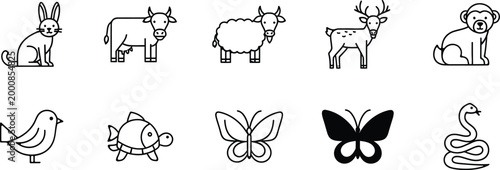 Ancient egyptian hieroglyphs and symbolic representations of animals and insects