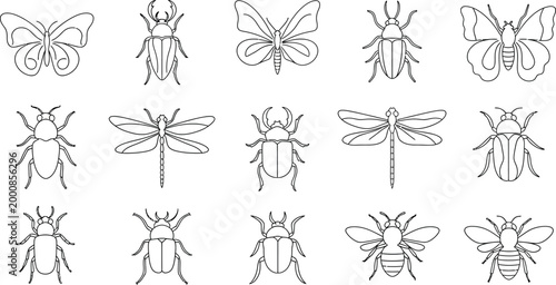 Collection of black and white line of various insects, including butterflies, beetles, dragonflies, and bees