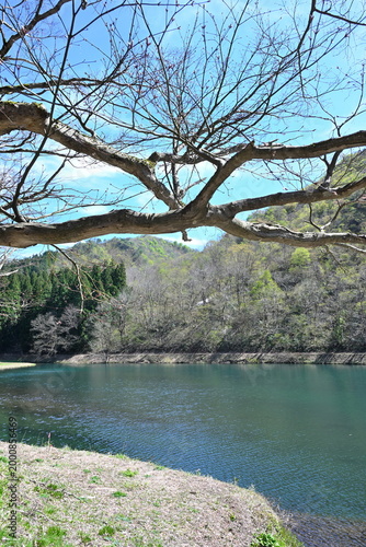 加茂水源地の春（新潟県加茂市）