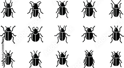 Collection of black beetle with varied leg and antenna positions on white background, insect