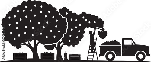 Person harvesting fruit from trees truck crates black white silhouette vector agriculture farm