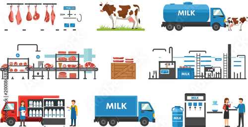 Milk Production Process and Dairy Industry Supply Chain Collection with Cows Processing Packaging and Delivery Vector Illustration Set
