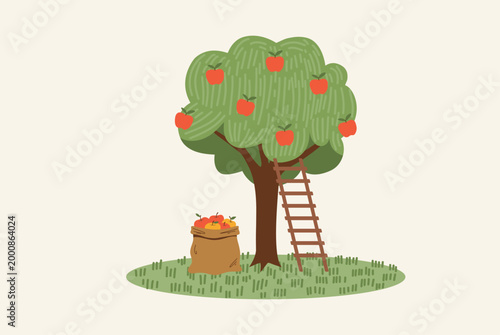 Apple tree with red apples and wooden ladder in the garden, harvest time with full sack of fruits, organic orchard farming vector illustration