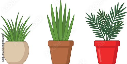 Three potted houseplants in a row with green foliage and simple decorative containers