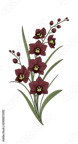 watercolor red fritillaria meleagris flowers isolated on transparent background