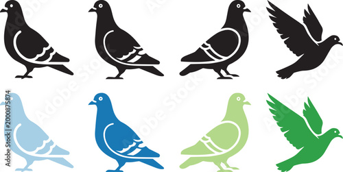 pigeon bird icon, solid black, white background, minimalist, sharp edges, vector style.