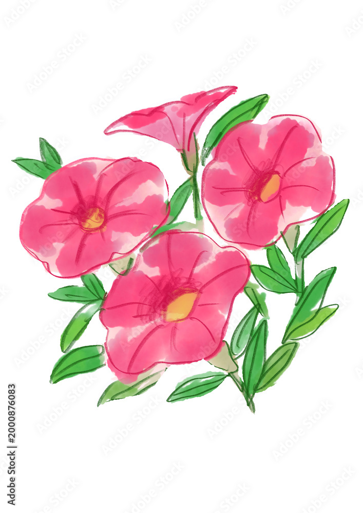 Fototapeta premium 咲き誇るカリブラコアの花の手描きの水彩イラスト