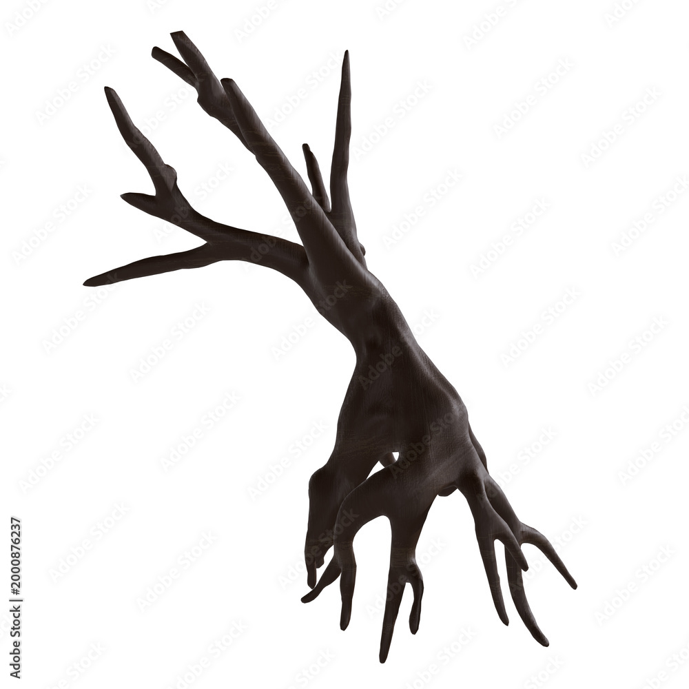 Fototapeta premium Tree trunk