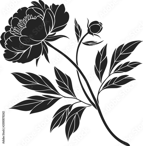  peony flower silhouette solid black shape on transparent background