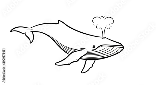 Detailed black and white line art illustration of a majestic whale spouting water, marine animal, sea life graphic