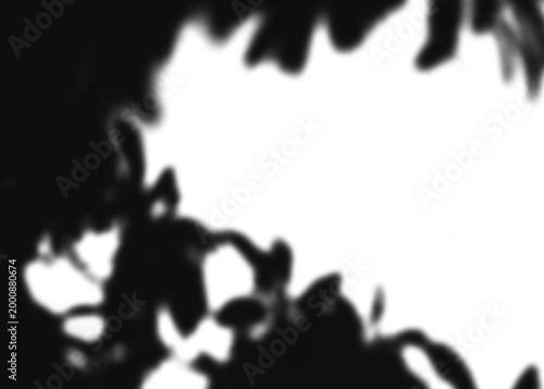 Abstract Shadow Silhouettes – Black and White Contrast, Organic Foliage Shapes, Light and Dark Composition, Artistic Pattern, Transparent Background PNG