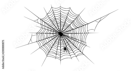 Spiderweb with Small Spider and Radial Lines, Isolated on White