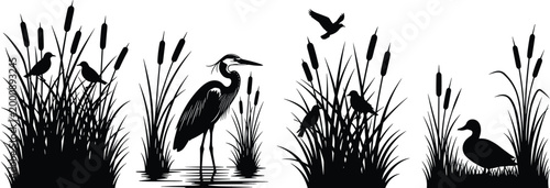 Wetland birds and reeds silhouette with heron, duck and flying birds, natural marsh landscape vector illustration for wildlife, nature and ecology design