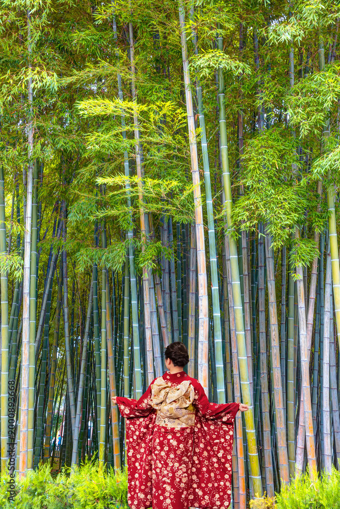 Obraz premium Japanese woman in an elegant red kimono, gracefully walking through a lush bamboo forest during the golden hour - Bamboo forest at Arashhiyama district in Kyoto, Japan