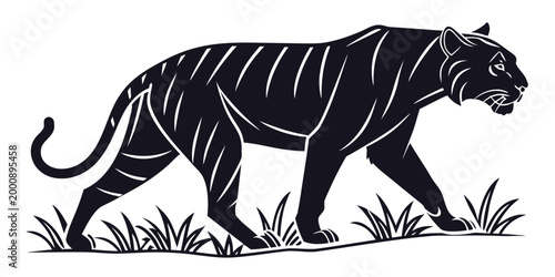 Black and white tiger walking in the grass vector illustration with wildlife predator silhouette illustration isolated wilderness dangerous powerful strength stalking prowling minimalist
