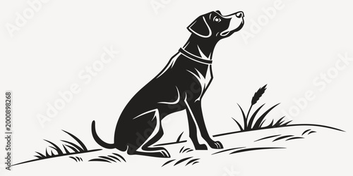 Fotografie Graphic silhouette of a sitting dog looking up in the grass with silhouette illu