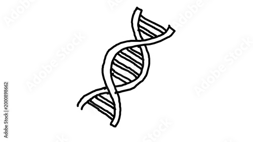 Canvastavla Hand drawn sketch of DNA double helix genetic biology illustration alpha transpa