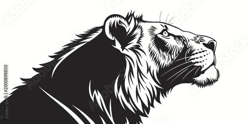 Elegant black and white line graphic of a lioness head with illustration predator minimalist stylized wildlife portrait powerful strength isolated contrast artistic observing carnivore