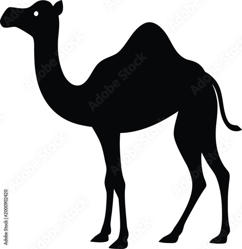 Camel silhouette vector illustration
