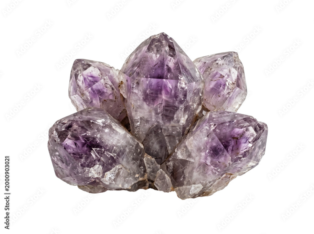 Fototapeta premium Purple amethyst quartz cluster geode healing crystal raw
