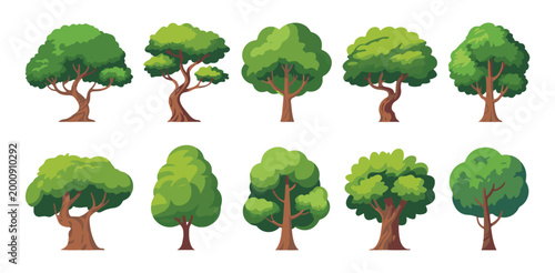 Set of colorful flat design deciduous trees in summer season.