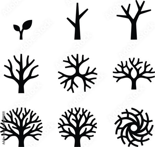 Entwicklung eines Baumes von einem Spross bis zu verschiedenen Aststrukturen und einer stilisierten Form.