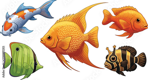 Photography Colorful fish vector set