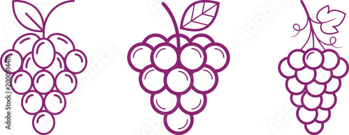 Minimalist and modern logo grapes and vines in purple silhouette