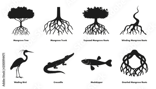 Bild auf Leinwand Mangrove Tree Trunk Root Crocodile Wading Bird Mudskipper Silhouette Vector Set