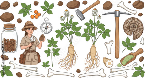 Exploration Illustration with Fossils, Adventure Gear, and Botanical Finds for Nature Lovers and Scientific Discoveries