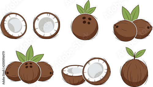 Fresh Coconuts Illustration Set with Whole and Cut Coconut, Coconut Milk, and Green Leaves for Tropical and Organic Themes