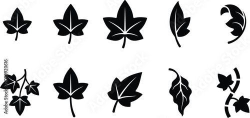 Eine Sammlung von stilisierten schwarzen Blattsilhouetten, darunter Efeublätter und andere Laubformen, auf weißem Hintergrund.