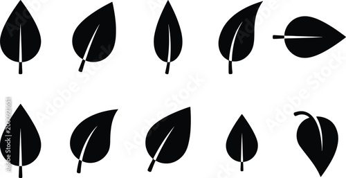 Eine Sammlung von zehn stilisierten schwarzen Blattsilhouetten, die verschiedene Formen und Ausrichtungen zeigen, isoliert auf weißem Hintergrund.