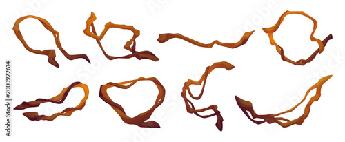 Jungle lianas. Tropical branches. Curves vine stems. Intertwining curly twigs of exotic plants. Rainforest tree trunks. Botanical ivy. Twisted woods. Climbing creepers. Vector natural elements set
