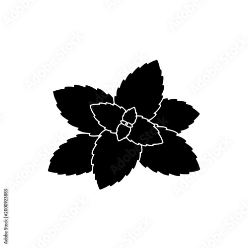 Black Mint Leaves Silhouette Isolated on White Background