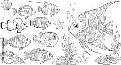 Underwater marine life line art illustration featuring tropical fish seashells starfish and ocean plants in detailed black and white vector style