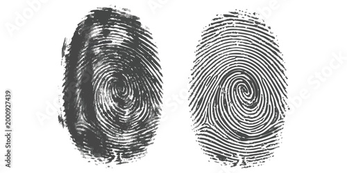 Two distinct human fingerprint patterns showing unique swirls and lines for biometric identification and security
