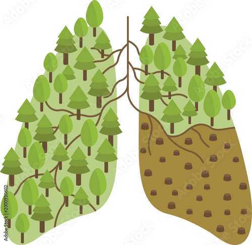 lung shaped forest with green trees and brown soil
