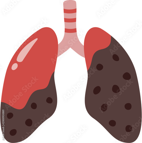 human lungs with trachea vector illustration