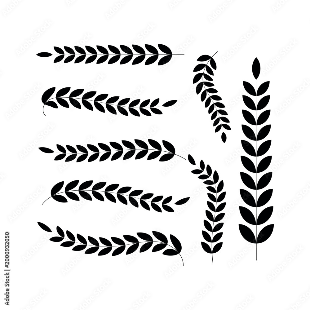 Quadro su tela laurel leaves logo icons elements set for graphic designer