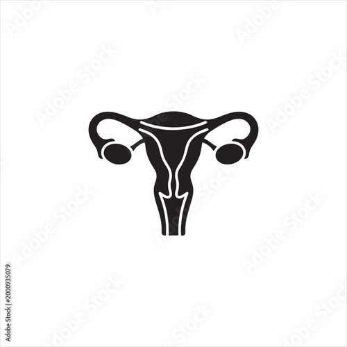 Female reproductive system anatomy uterus and ovaries medical illustration