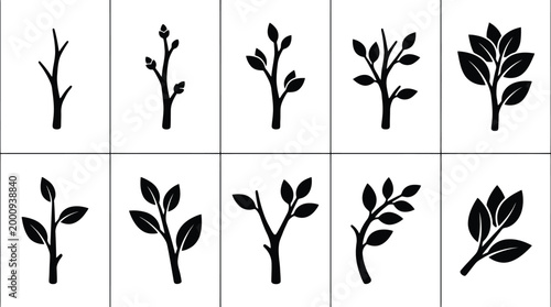 Verschiedene Stadien des Pflanzenwachstums, dargestellt durch schwarze Silhouetten von Ästen und Blättern auf weißem Hintergrund.