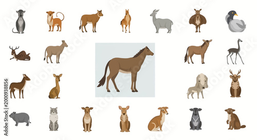 A diverse collection of animal illustrations featuring various mammals and a bird, presented in a grid layout with a prominent central horse-like figure.