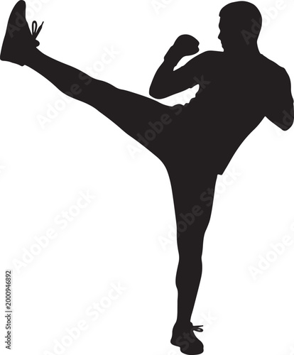 Silhouette of a person performing a kick with one leg extended upward also transparent background, martial arts