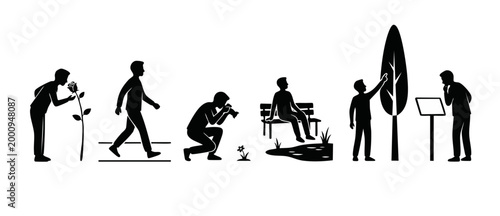 Man silhouette activities in park, leisure lifestyle collection. Set of male icons depicting nature observation, relaxing on bench, walking, taking photography, and exploring garden scenery flat desig