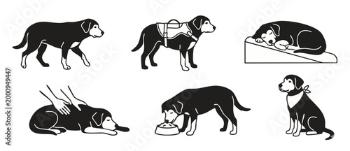 Dog Vector Icons Set Black and White Activities and Daily Care Routine