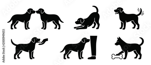 Dog silhouette icons set, labrador retriever puppy poses and training actions isolated on white background, black vector collection of canine behaviors, funny pets, loyalty concepts and domestic anima