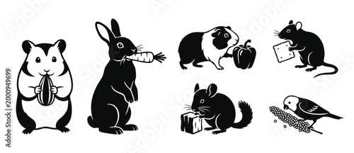 Small Pet Animals Silhouette Set Eating Food Treats Hamster Rabbit Guinea Pig Mouse Chinchilla Bird Vector Graphic Collection Isolated on White Background for Veterinary Pet Shop Logo Design Concept
