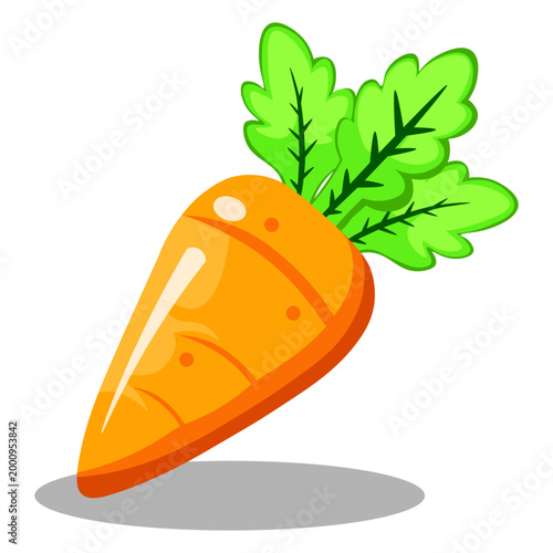 vector illustration of a carrot